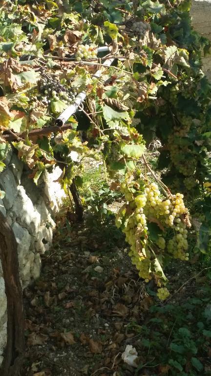 דירות ולדריצ'ה Sole E Fiori Di Sicilia מראה חיצוני תמונה