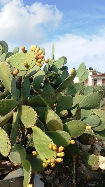 דירות ולדריצ'ה Sole E Fiori Di Sicilia מראה חיצוני תמונה